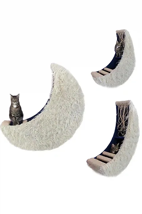 unique-cat-house-wall-moon