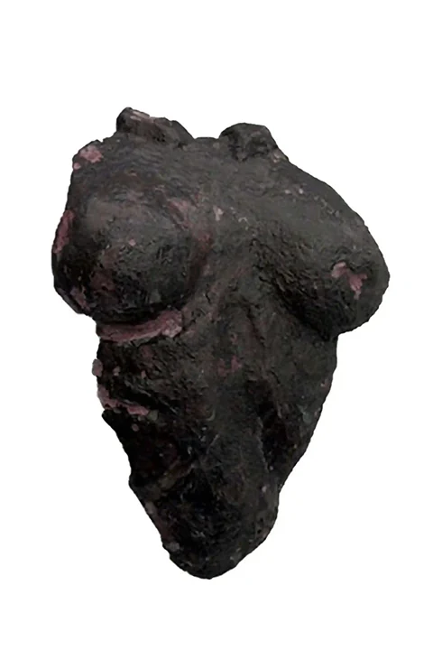 wall-female-bust-black-pink